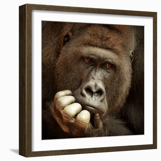 Sense of Life ...-Antje Wenner-Framed Photographic Print