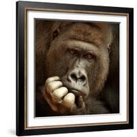 Sense of Life ...-Antje Wenner-Framed Photographic Print