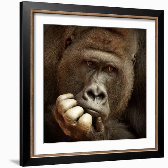 Sense of Life ...-Antje Wenner-Framed Photographic Print