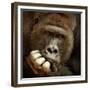 Sense of Life ...-Antje Wenner-Framed Photographic Print