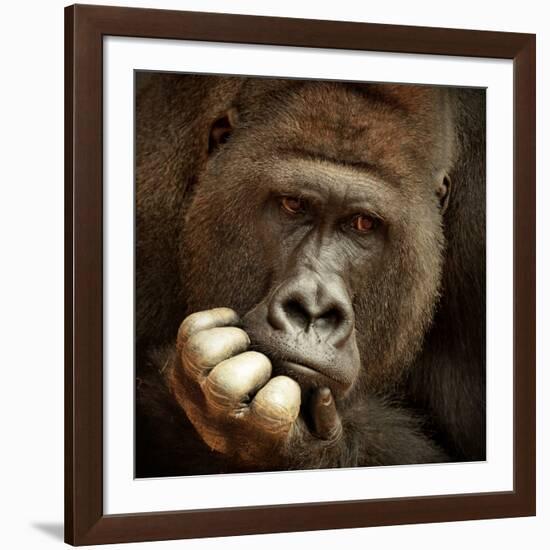 Sense of Life ...-Antje Wenner-Framed Photographic Print