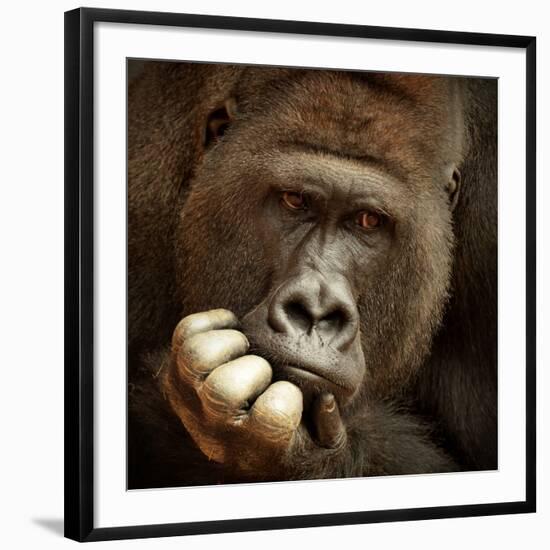 Sense of Life ...-Antje Wenner-Framed Photographic Print