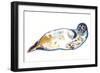 Senseal, 2022, (mixed media on paper)-Mark Adlington-Framed Giclee Print