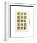 Senses of the Orient-David Hewitt-Framed Giclee Print