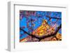 Sensi-Ji Temple in Tokyo at Night, Seen Through Cherry Blossom, Tokyo, Japan, Asia-Martin Child-Framed Photographic Print