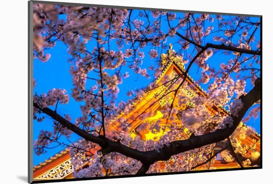 Sensi-Ji Temple in Tokyo at Night, Seen Through Cherry Blossom, Tokyo, Japan, Asia-Martin Child-Mounted Photographic Print