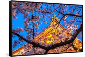 Sensi-Ji Temple in Tokyo at Night, Seen Through Cherry Blossom, Tokyo, Japan, Asia-Martin Child-Framed Stretched Canvas