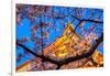 Sensi-Ji Temple in Tokyo at Night, Seen Through Cherry Blossom, Tokyo, Japan, Asia-Martin Child-Framed Photographic Print