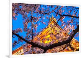 Sensi-Ji Temple in Tokyo at Night, Seen Through Cherry Blossom, Tokyo, Japan, Asia-Martin Child-Framed Photographic Print