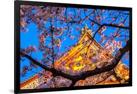 Sensi-Ji Temple in Tokyo at Night, Seen Through Cherry Blossom, Tokyo, Japan, Asia-Martin Child-Framed Photographic Print