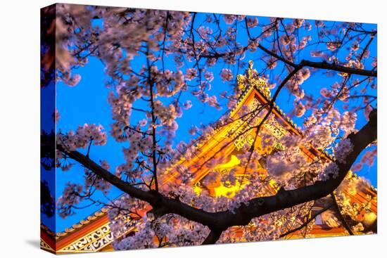 Sensi-Ji Temple in Tokyo at Night, Seen Through Cherry Blossom, Tokyo, Japan, Asia-Martin Child-Stretched Canvas