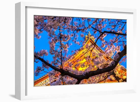 Sensi-Ji Temple in Tokyo at Night, Seen Through Cherry Blossom, Tokyo, Japan, Asia-Martin Child-Framed Photographic Print