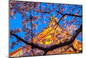 Sensi-Ji Temple in Tokyo at Night, Seen Through Cherry Blossom, Tokyo, Japan, Asia-Martin Child-Mounted Photographic Print