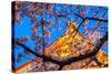 Sensi-Ji Temple in Tokyo at Night, Seen Through Cherry Blossom, Tokyo, Japan, Asia-Martin Child-Stretched Canvas