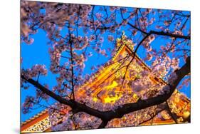 Sensi-Ji Temple in Tokyo at Night, Seen Through Cherry Blossom, Tokyo, Japan, Asia-Martin Child-Mounted Premium Photographic Print