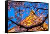 Sensi-Ji Temple in Tokyo at Night, Seen Through Cherry Blossom, Tokyo, Japan, Asia-Martin Child-Framed Stretched Canvas
