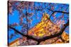 Sensi-Ji Temple in Tokyo at Night, Seen Through Cherry Blossom, Tokyo, Japan, Asia-Martin Child-Stretched Canvas