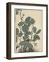 Sensitive Plant, Olive Sparrow-Imao Keinen-Framed Giclee Print
