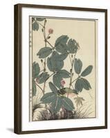 Sensitive Plant, Olive Sparrow-Imao Keinen-Framed Giclee Print