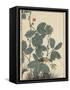 Sensitive Plant, Olive Sparrow-Imao Keinen-Framed Stretched Canvas