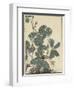 Sensitive Plant, Olive Sparrow-Imao Keinen-Framed Giclee Print