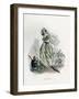 Sensitive Plant-JJ Grandville-Framed Art Print
