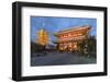 Senso-Ji, an Ancient Buddhist Temple, at Night, Asakusa, Tokyo, Japan, Asia-Stuart Black-Framed Photographic Print