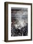 Senso-Ji, Ancient Buddhist Temple, Asakusa, Tokyo, Japan, Asia-Stuart Black-Framed Photographic Print