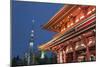 Senso-Ji Temple and Skytree Tower at Night, Asakusa, Tokyo, Japan, Asia-Stuart Black-Mounted Photographic Print