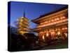 Sensoji Temple and Pagoda-null-Stretched Canvas