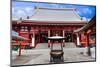 Sensoji Temple, Tokyo-coward_lion-Mounted Photographic Print