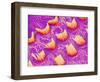 Sensory hair of inner ear (rat)-Micro Discovery-Framed Photographic Print