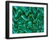 Sensory Perception Green-Ruth Palmer-Framed Art Print