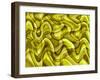 Sensory Perception-Ruth Palmer-Framed Art Print