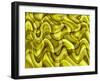 Sensory Perception-Ruth Palmer-Framed Art Print