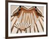 Sensu Wings-Belen Mena-Framed Giclee Print