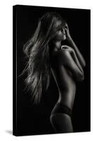 Sensual Beauty-Martin Krystynek-Stretched Canvas