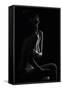 Sensual Beauty-Martin Krystynek-Framed Stretched Canvas