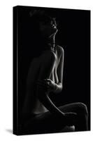 Sensual Beauty-Martin Krystynek-Stretched Canvas