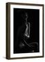 Sensual Beauty-Martin Krystynek-Framed Photographic Print