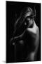 Sensual Beauty-Martin Krystynek-Mounted Photographic Print