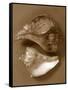 Sensual Shells II-Renee W. Stramel-Framed Stretched Canvas