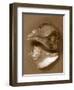 Sensual Shells II-Renee W. Stramel-Framed Art Print
