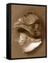 Sensual Shells II-Renee W. Stramel-Framed Stretched Canvas