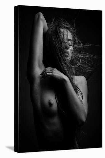 Sensuality-Martin Krystynek-Stretched Canvas