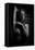 Sensuality-Martin Krystynek-Framed Stretched Canvas