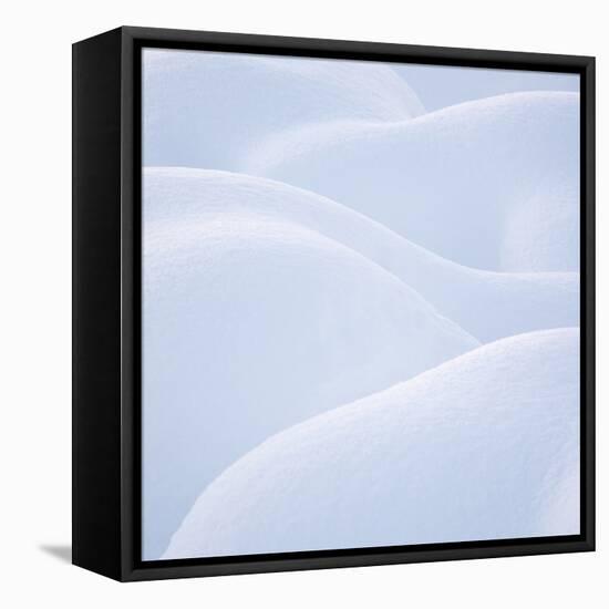 Sensuous Snow-Doug Chinnery-Framed Stretched Canvas