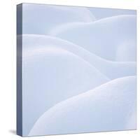 Sensuous Snow-Doug Chinnery-Stretched Canvas