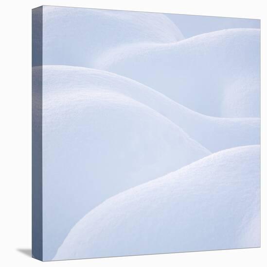 Sensuous Snow-Doug Chinnery-Stretched Canvas