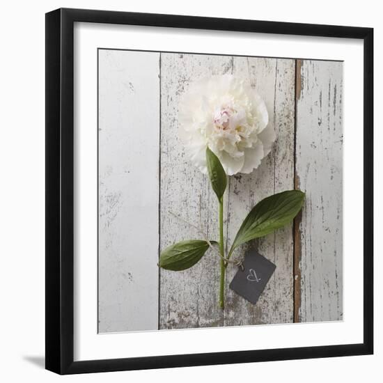 Sent with Love II-Camille Soulayrol-Framed Giclee Print